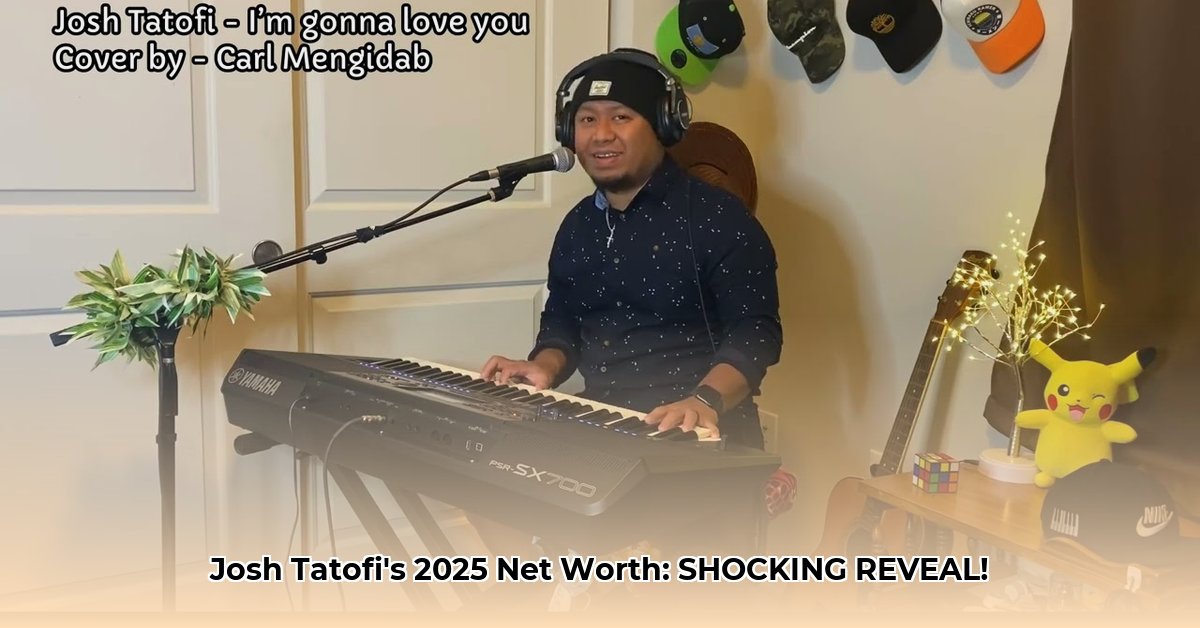 josh-tatofi-net-worth